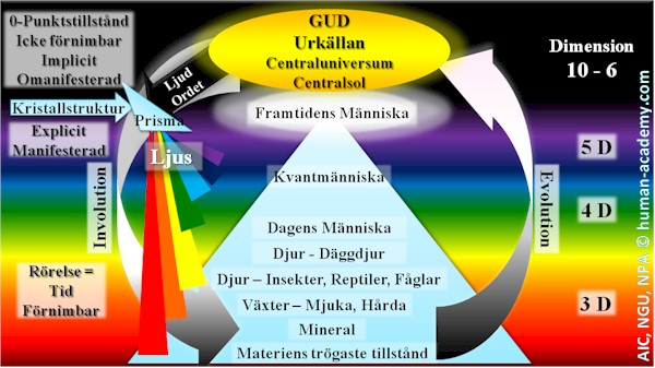 5_aic_involution_evolution